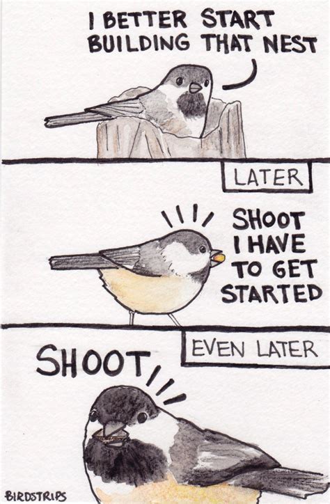 cartoon with a chickadee. First panel chickadee says 'I better start building that nest', second panel says 'later', chickadee says 'shooot I have to get started', third panel says 'even later' chickadee says 'shoot!'