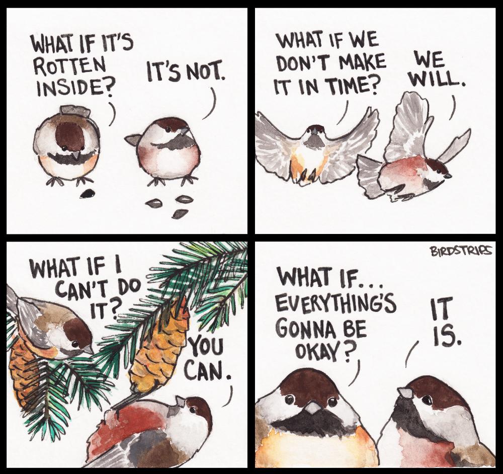 Cartoon with two boreal chickadees. First panel birds are eating seeds on the ground. One says 'What if it's rotten inside?' the other says 'It's not'. Second panel the birds are flying, one says 'What if we don't make it in time?' the other says 'We will.'. Third panel the birds are hanging off pinecones in a tree, one says 'What if I can't do it?', the other says 'You can'. Fourth panel the birds are facing the viewer, one says 'What if... everything's gonna be okay?', the other says 'It is'.