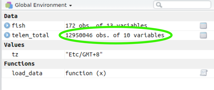 A screenshot of the R environment showing a data frame with 13 million observations